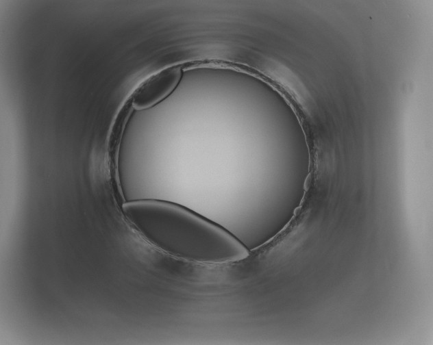 X0000112170924200908141303