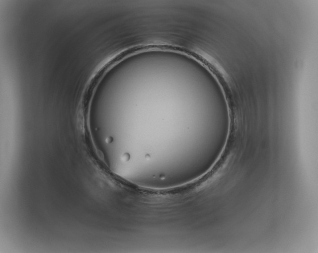 X0000112170925200908141303