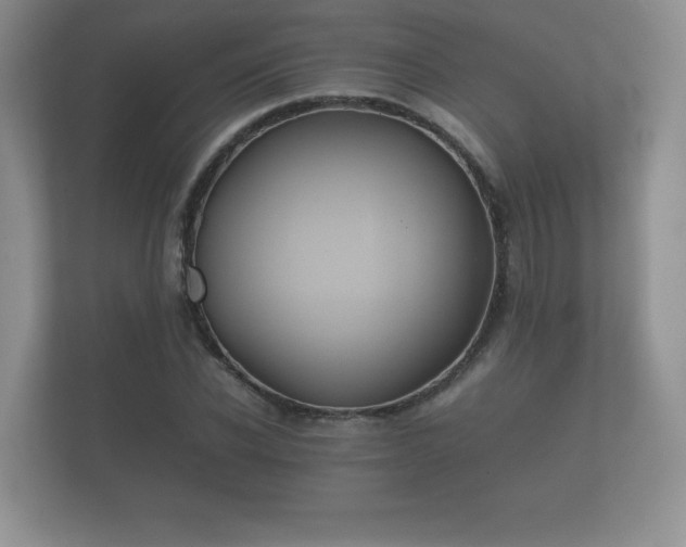 X0000112170926200908141303