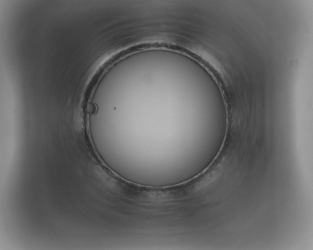 X0000112170927200908141303