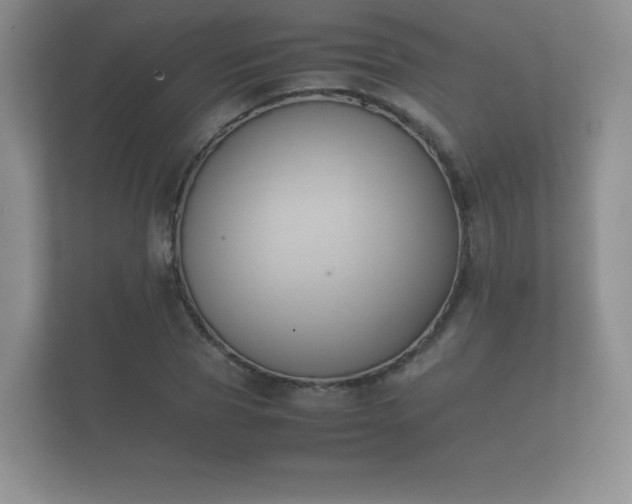 X0000112170929200908141303