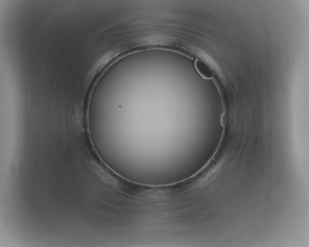 X0000112170930200908141303