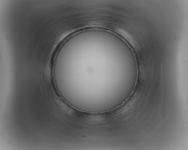 X0000112170931200908141303