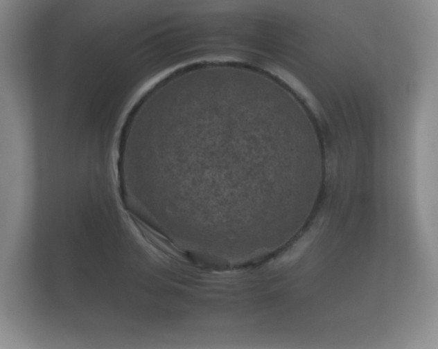 X0000112170935200908141303