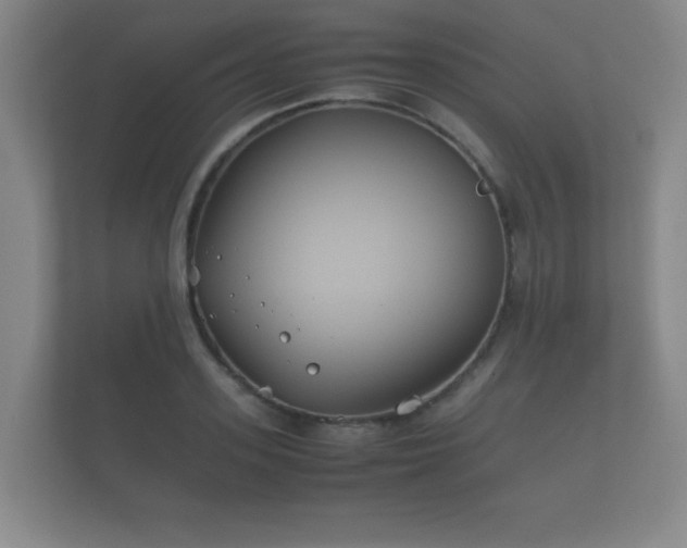 X0000112170939200908141303