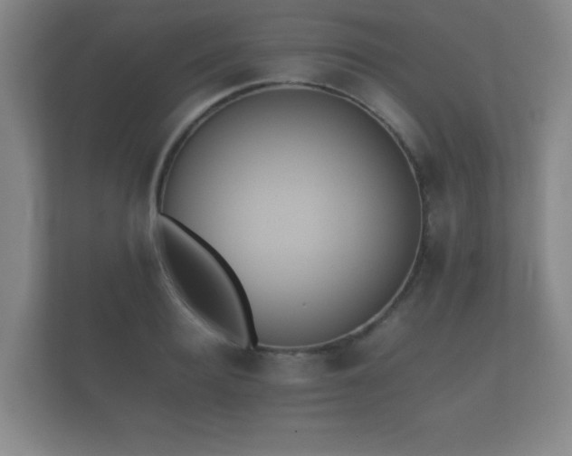 X0000112170940200908141303