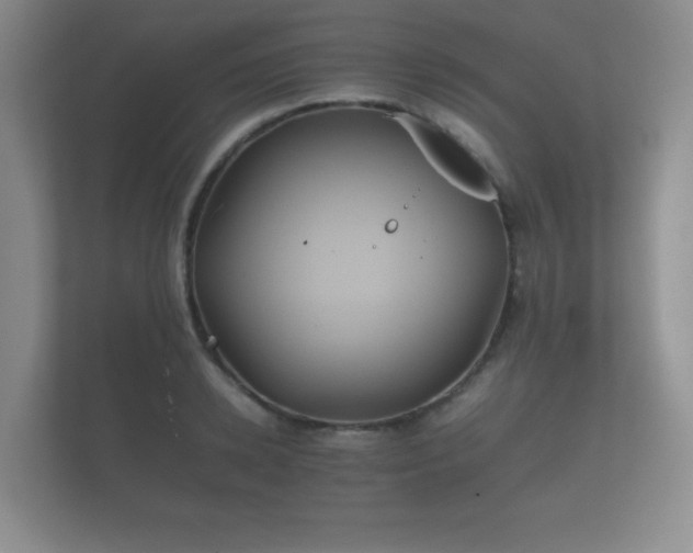 X0000112170942200908141303