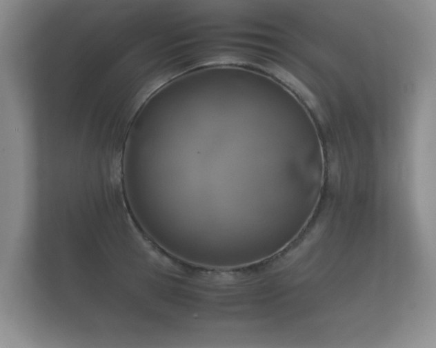 X0000112170945200908141303