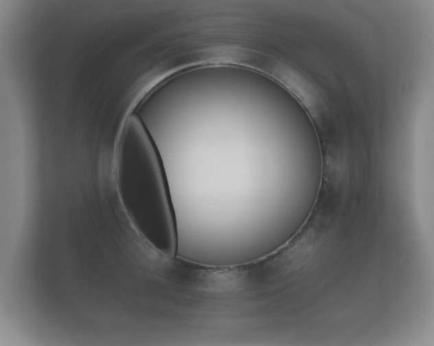 X0000112170948200908141303