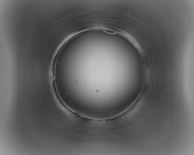 X0000112170955200908141303