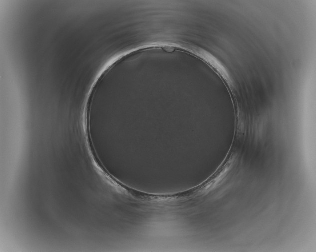 X0000112170958200908141303