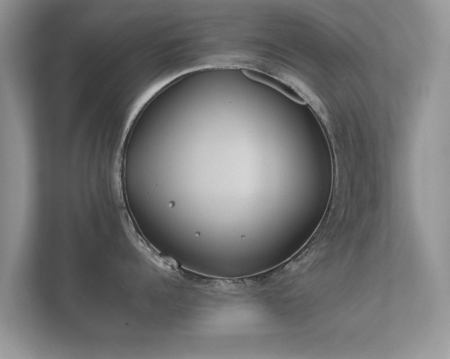 X0000112170960200908141303