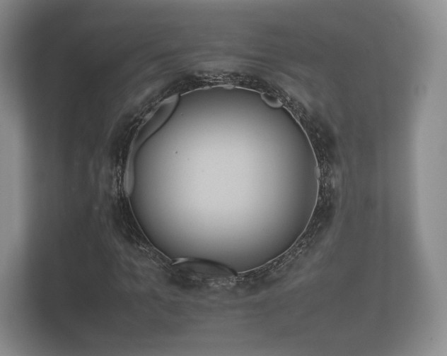 X0000112170965200908141302