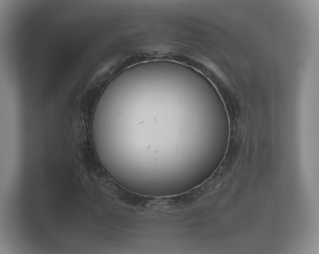 X0000112170967200908141302