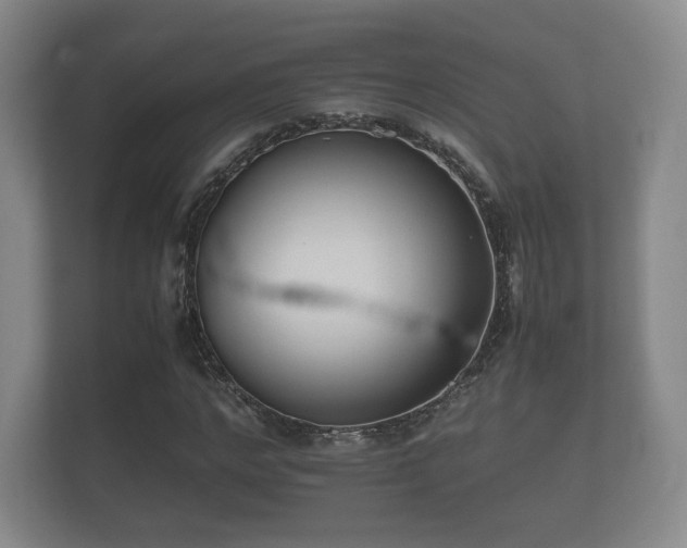 X0000112170968200908141302