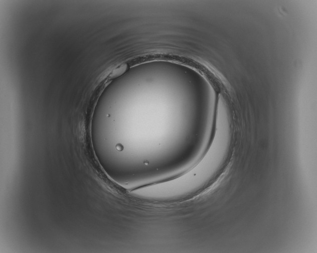 X0000112170969200908141302