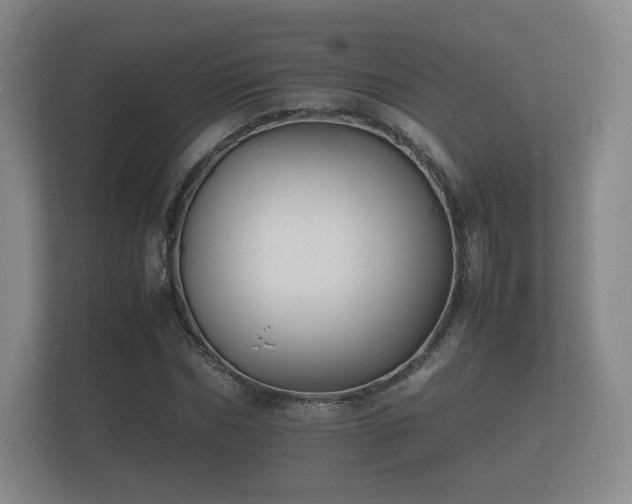 X0000112170970200908141302