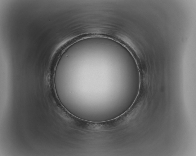 X0000112170971200908141302