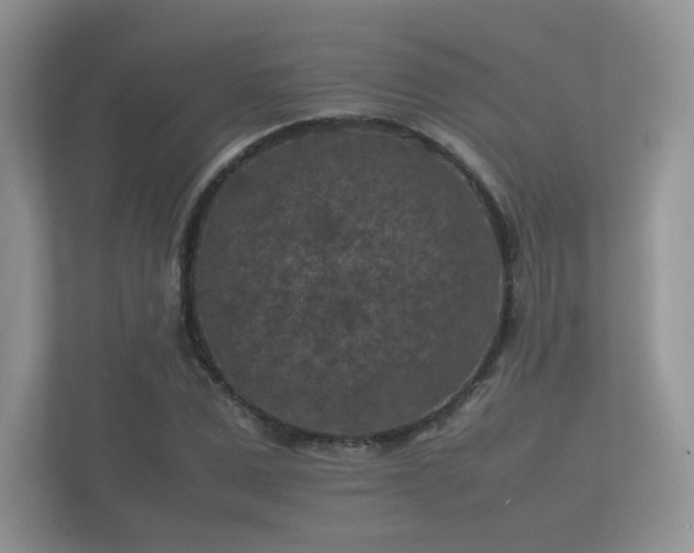 X0000112170975200908141302