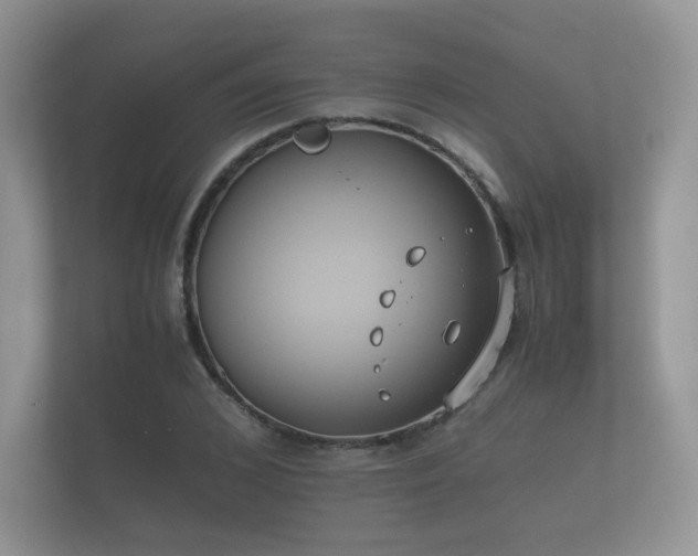 X0000112170976200908141302