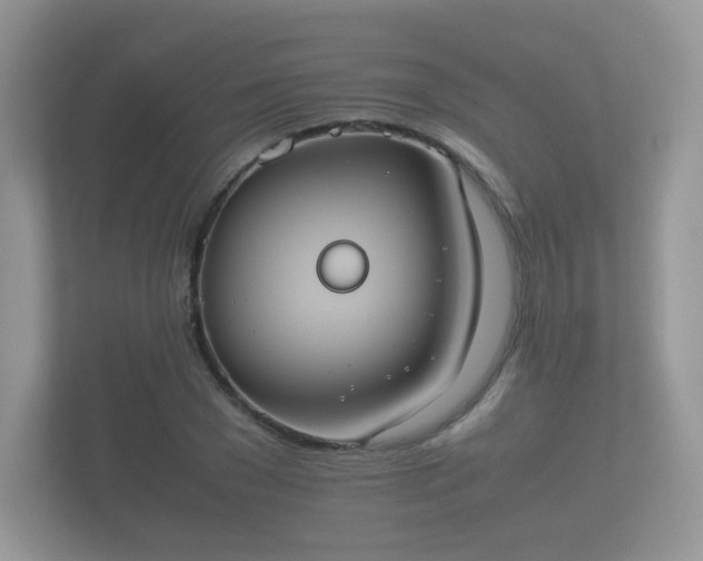 X0000112170977200908141302