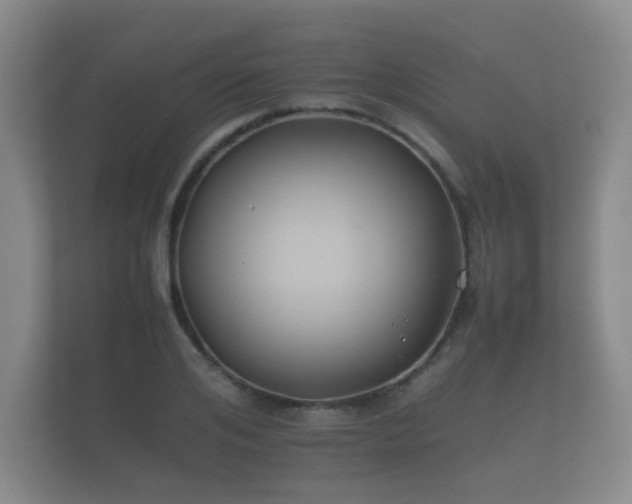 X0000112170984200908141302