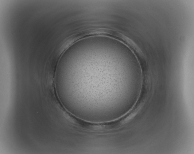 X0000112170985200908141302