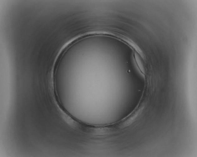 X0000112170988200908141302