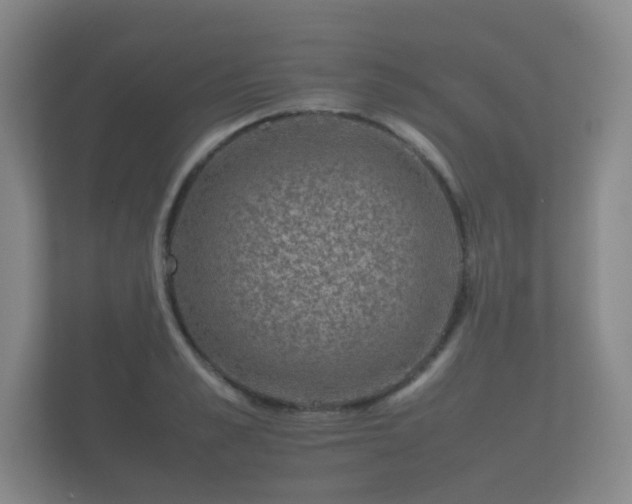 X0000112170989200908141302