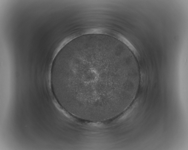 X0000112170994200908141302