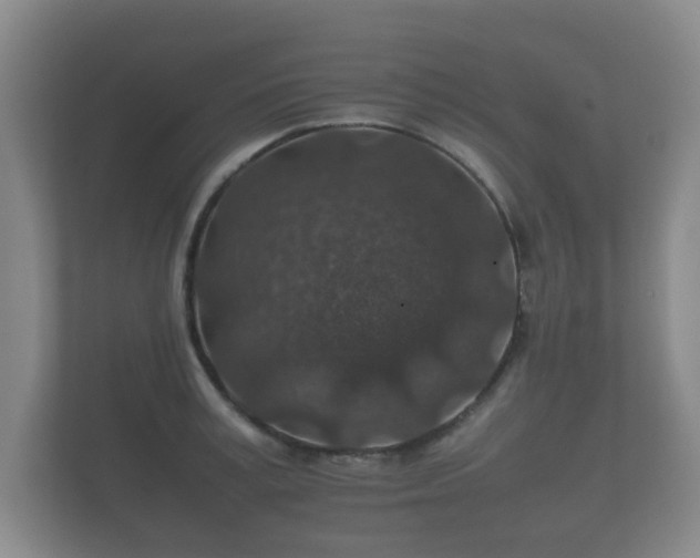 X0000112170995200908141302