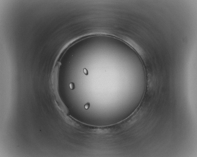 X0000112170996200908141302