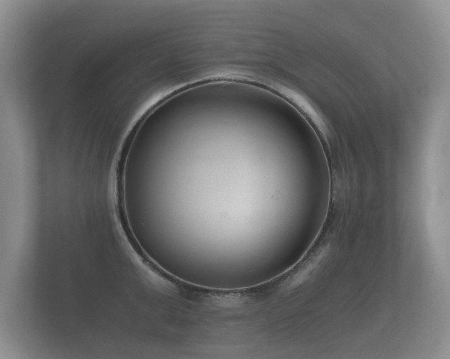 X0000112170999200908141302