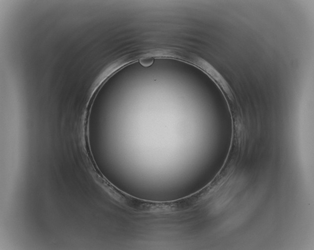 X0000112171002200908141302