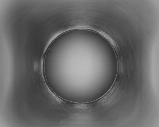 X0000112171006200908141302