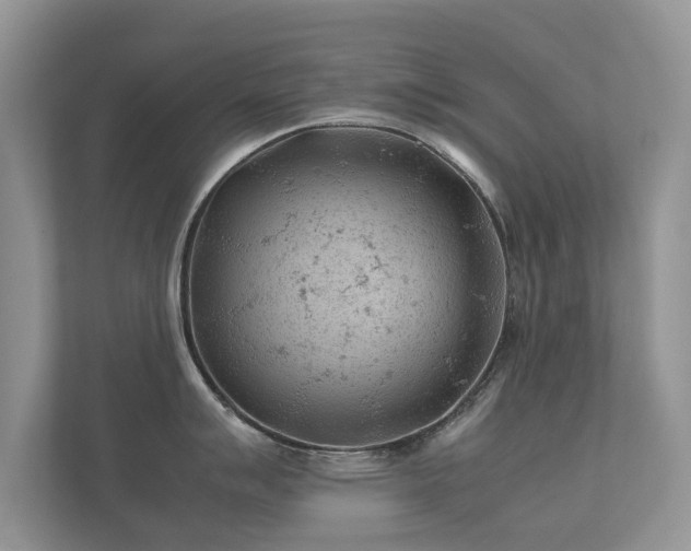 X0000112171007200908141302