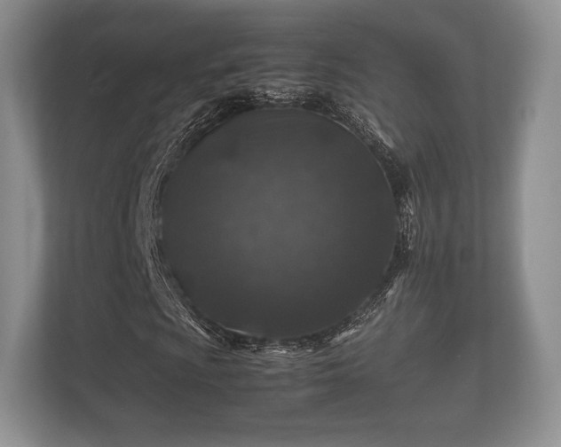 X0000112171009200908141301