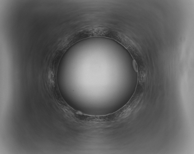 X0000112171010200908141301