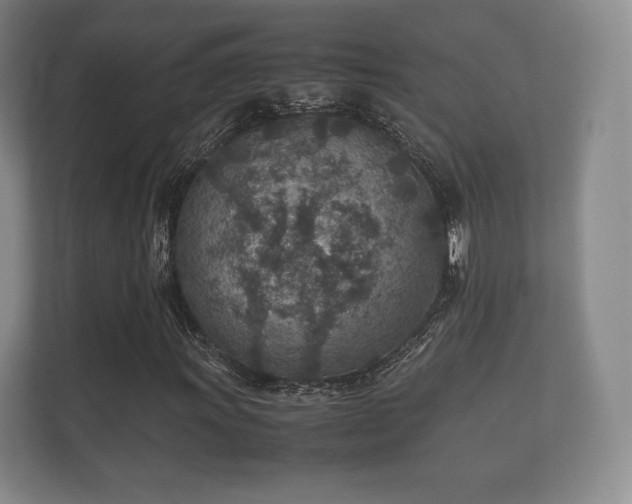 X0000112171011200908141301