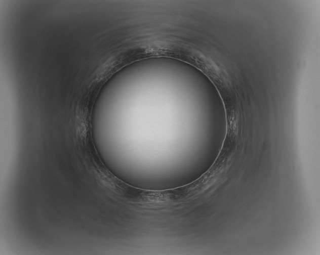 X0000112171012200908141301