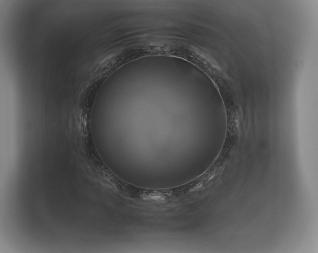 X0000112171013200908141301