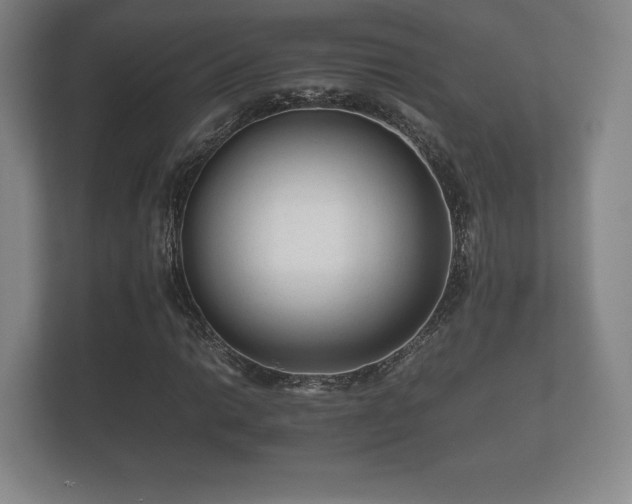 X0000112171014200908141301