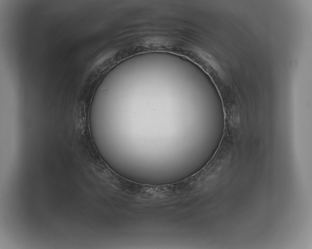 X0000112171015200908141301