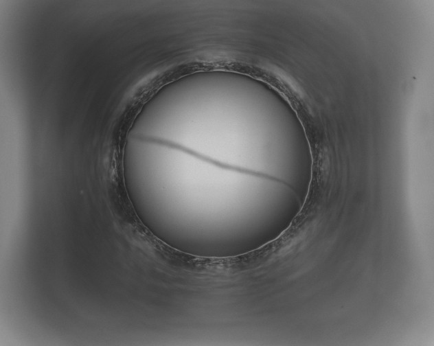 X0000112171016200908141301