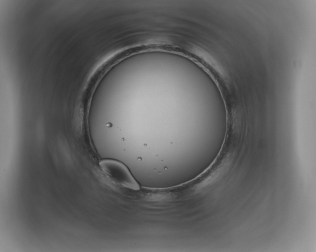 X0000112171021200908141301