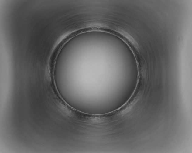 X0000112171022200908141301