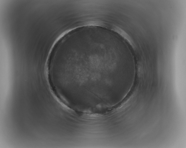 X0000112171024200908141301