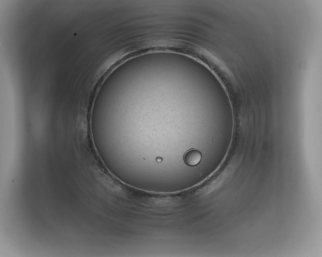 X0000112171025200908141301