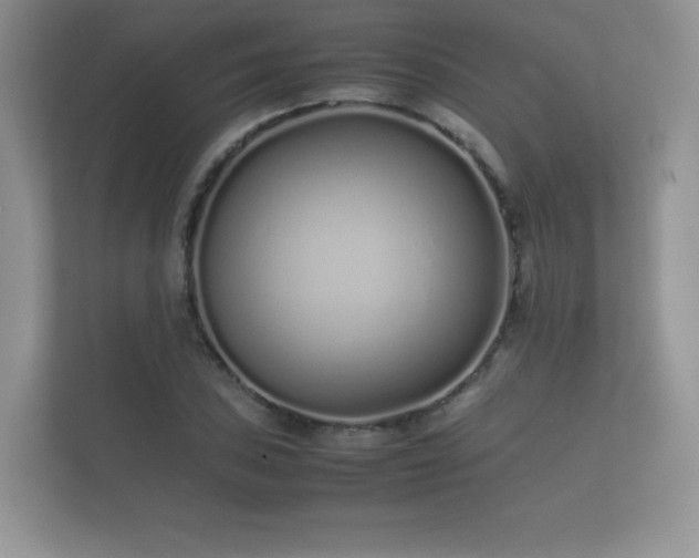 X0000112171027200908141301