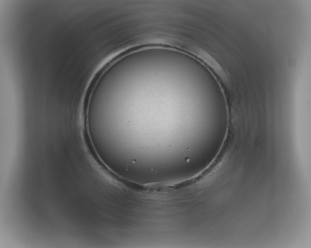 X0000112171028200908141301